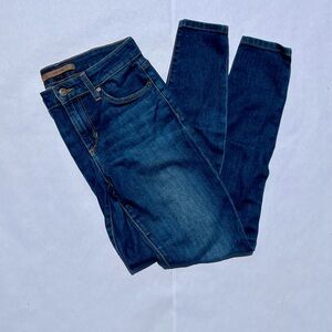 Joe's Jeans Blue Skinny Denim with Stretch
